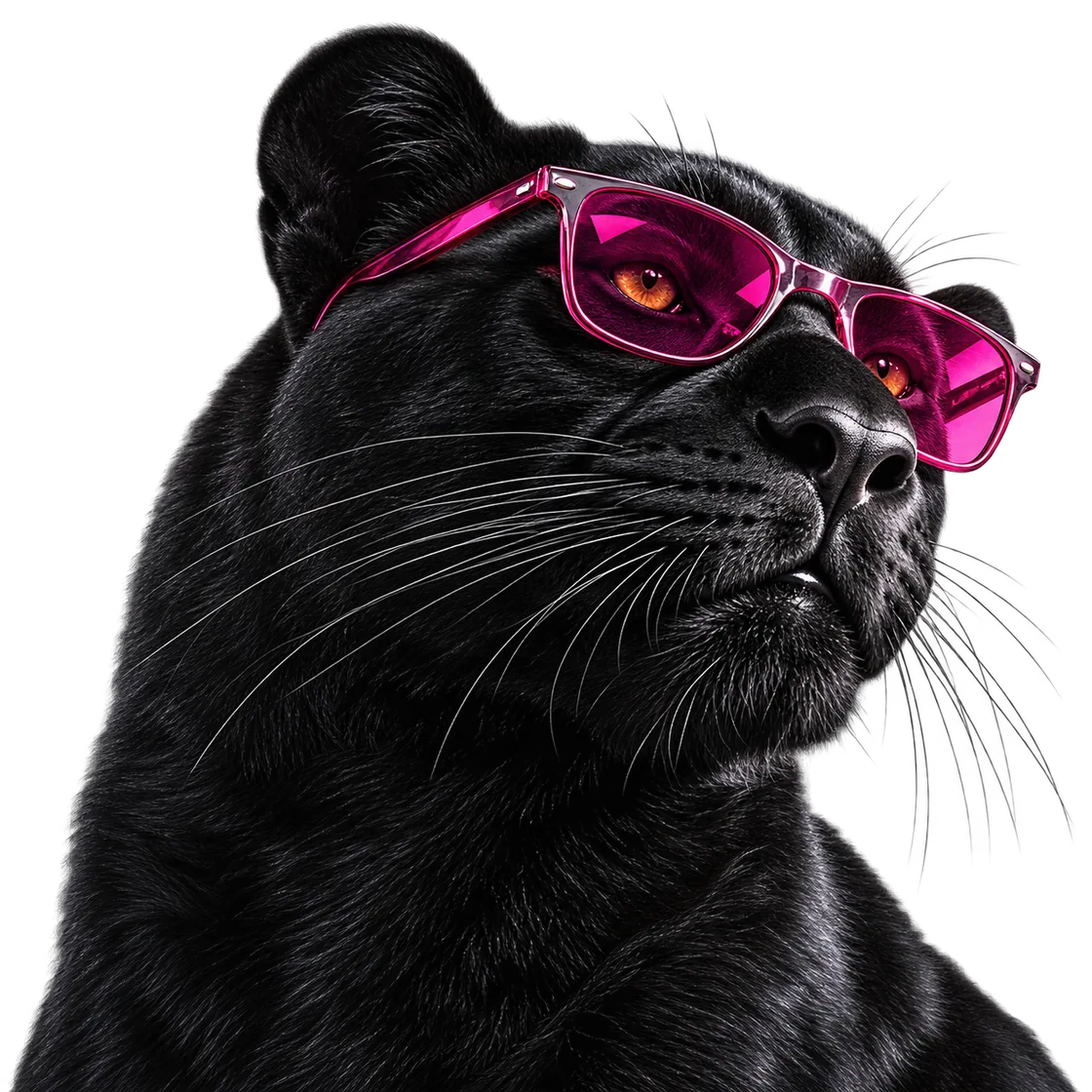 Pantera w neonowych różowych okularach — motyw graficzny Black Panther
